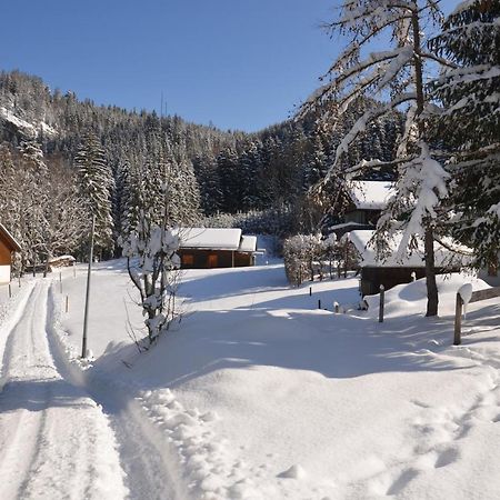 Kreiers Alp Apartamento Hohenems Exterior foto