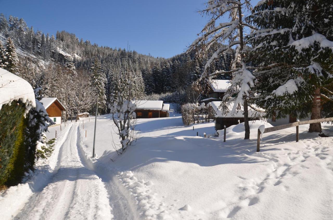 Kreiers Alp Apartamento Hohenems Exterior foto